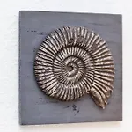Appartement Haus Hafenblick Bensersiel